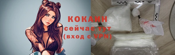 твердый Балахна